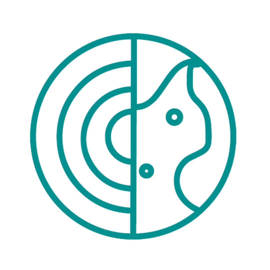 Icono estudios geofísicos